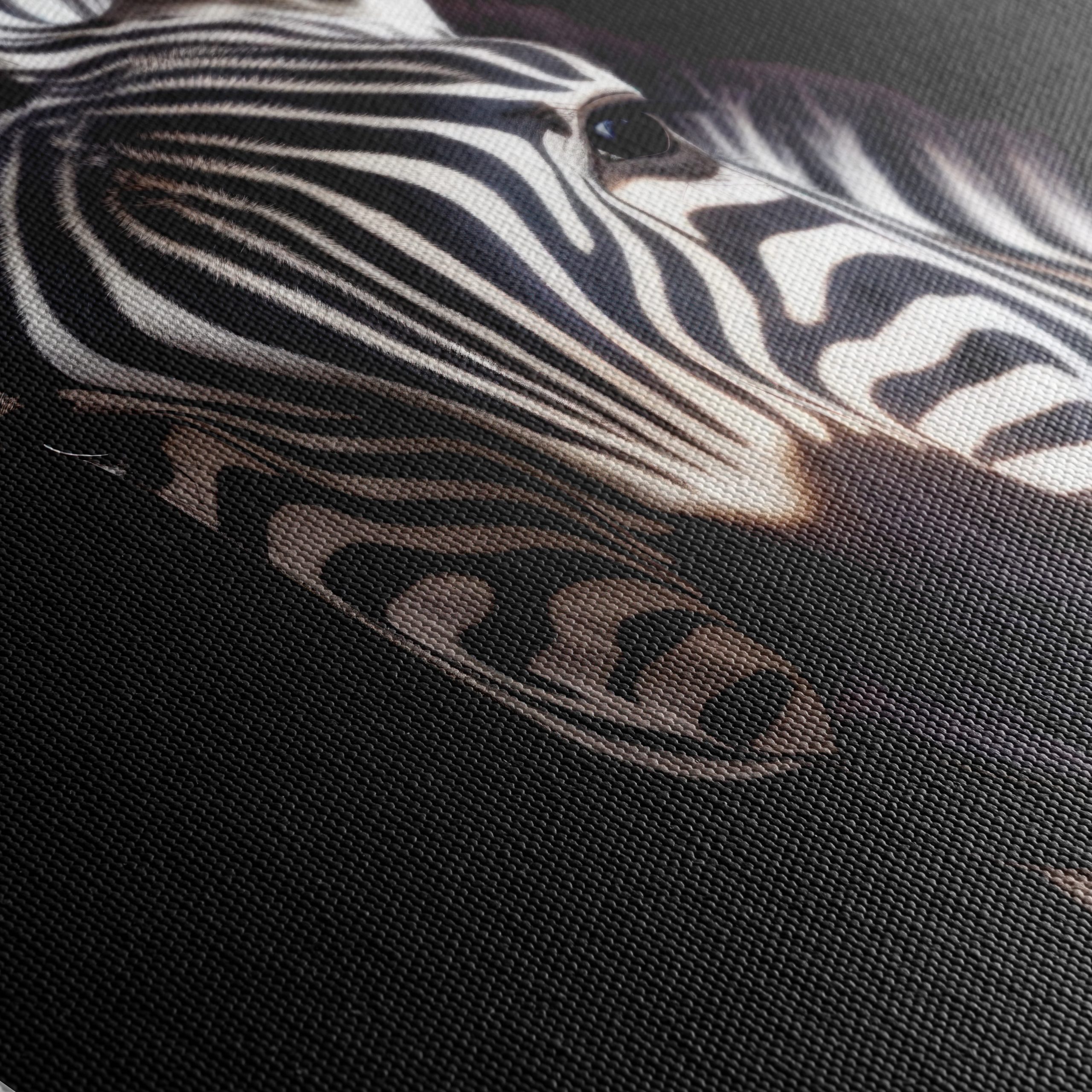 Zebra Portrait in Striking Black and White - Image 5