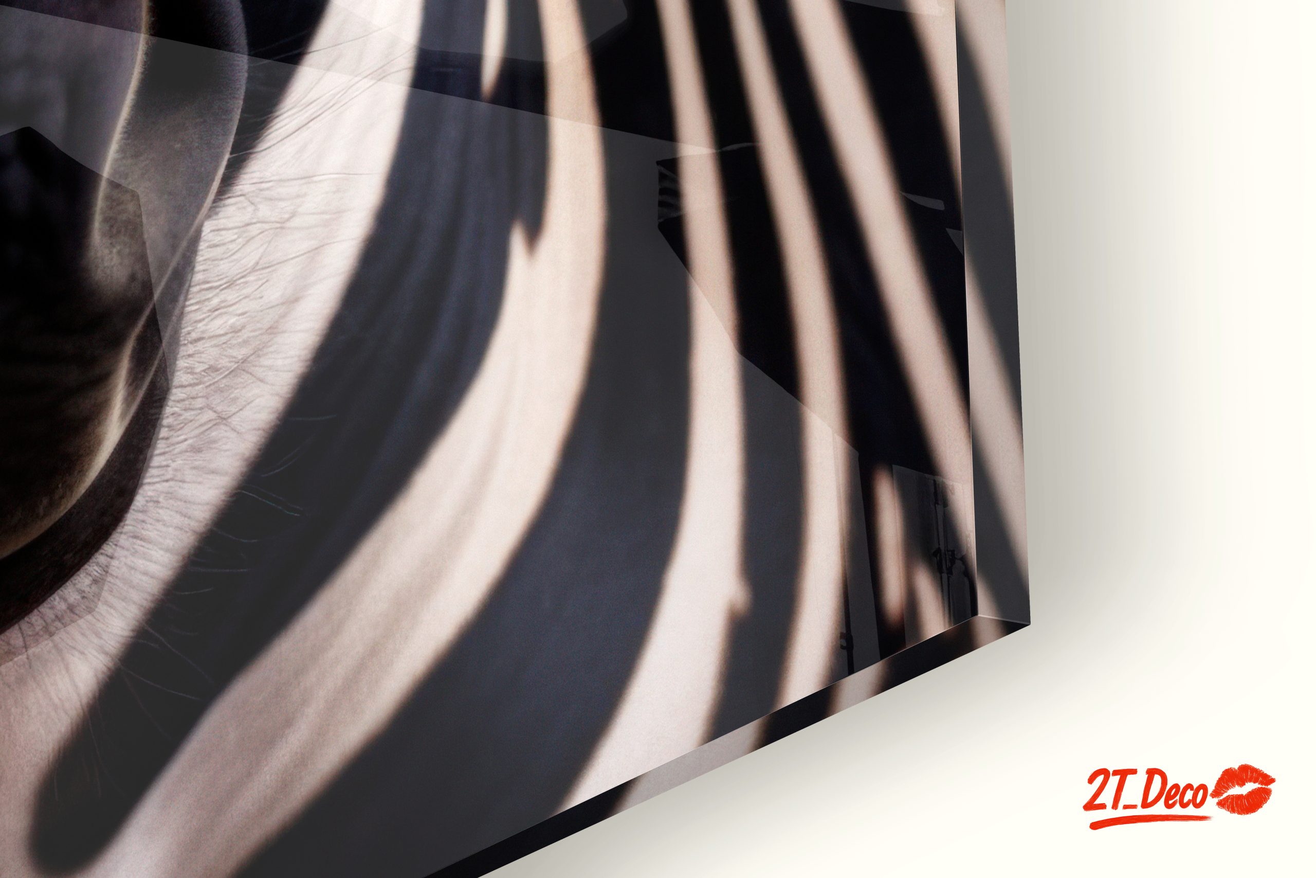 Zebra Portrait in Striking Black and White - Image 9
