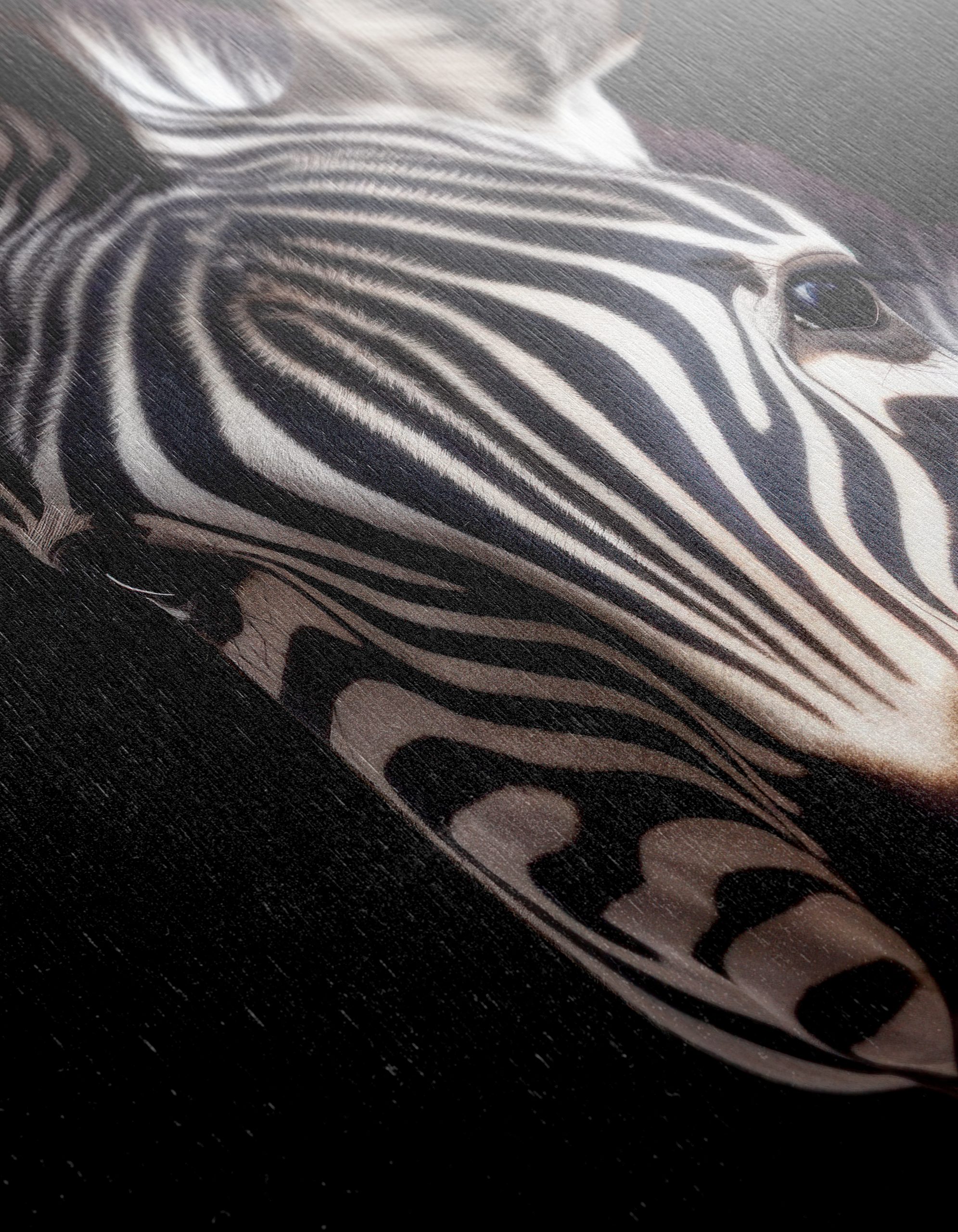 Zebra Portrait in Striking Black and White - Image 12
