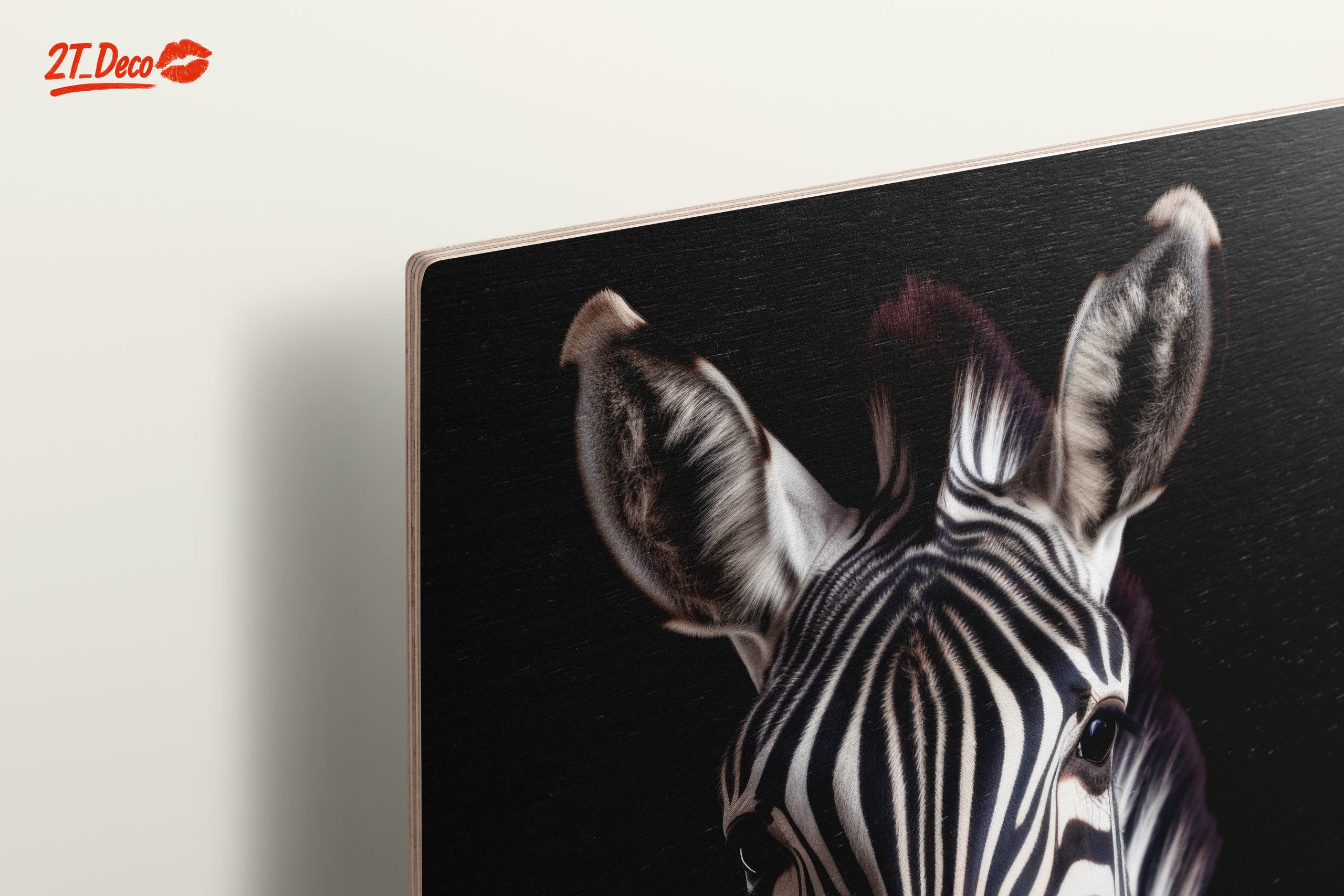 Zebra Portrait in Striking Black and White - Image 15