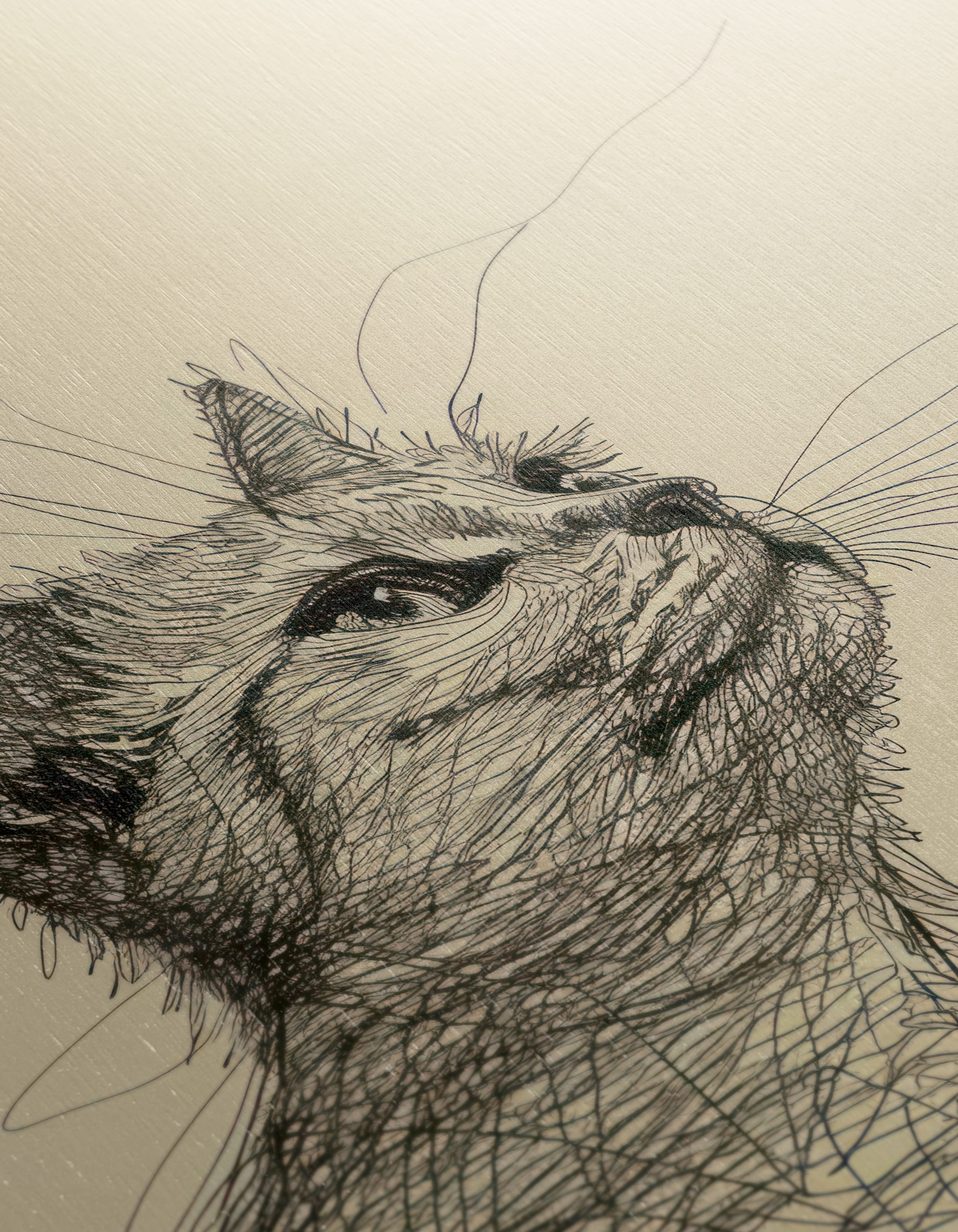 Stylized Cat Illustration in Elegant Line Art - Image 12