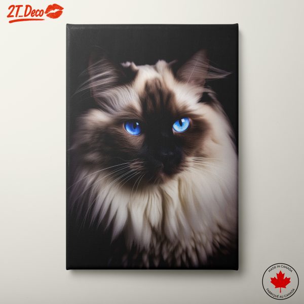 Majestic Cat Portrait with Blue Eyes