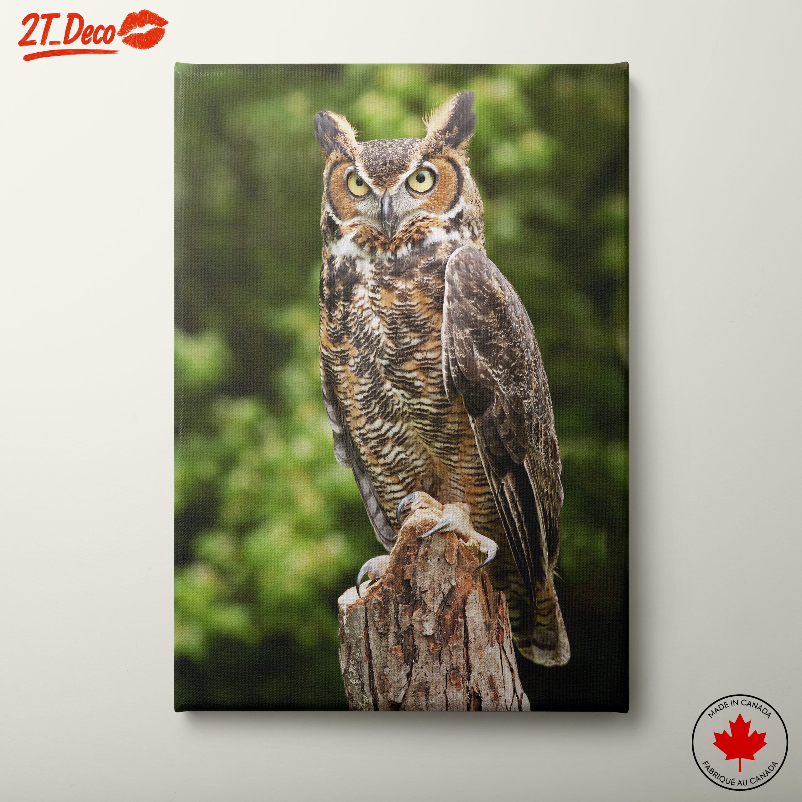 Majestic Owl on Tree Stump