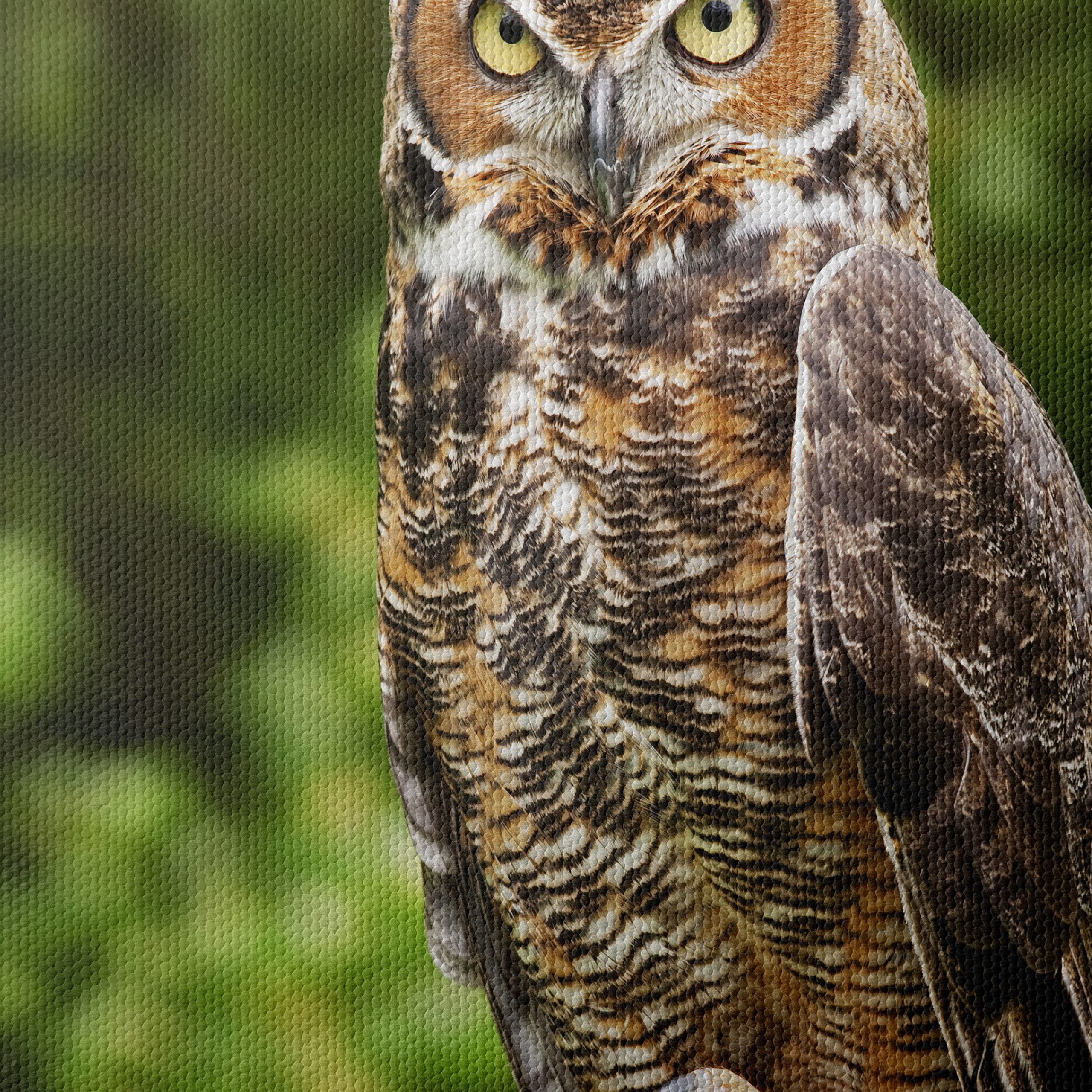 Majestic Owl on Tree Stump - Image 4