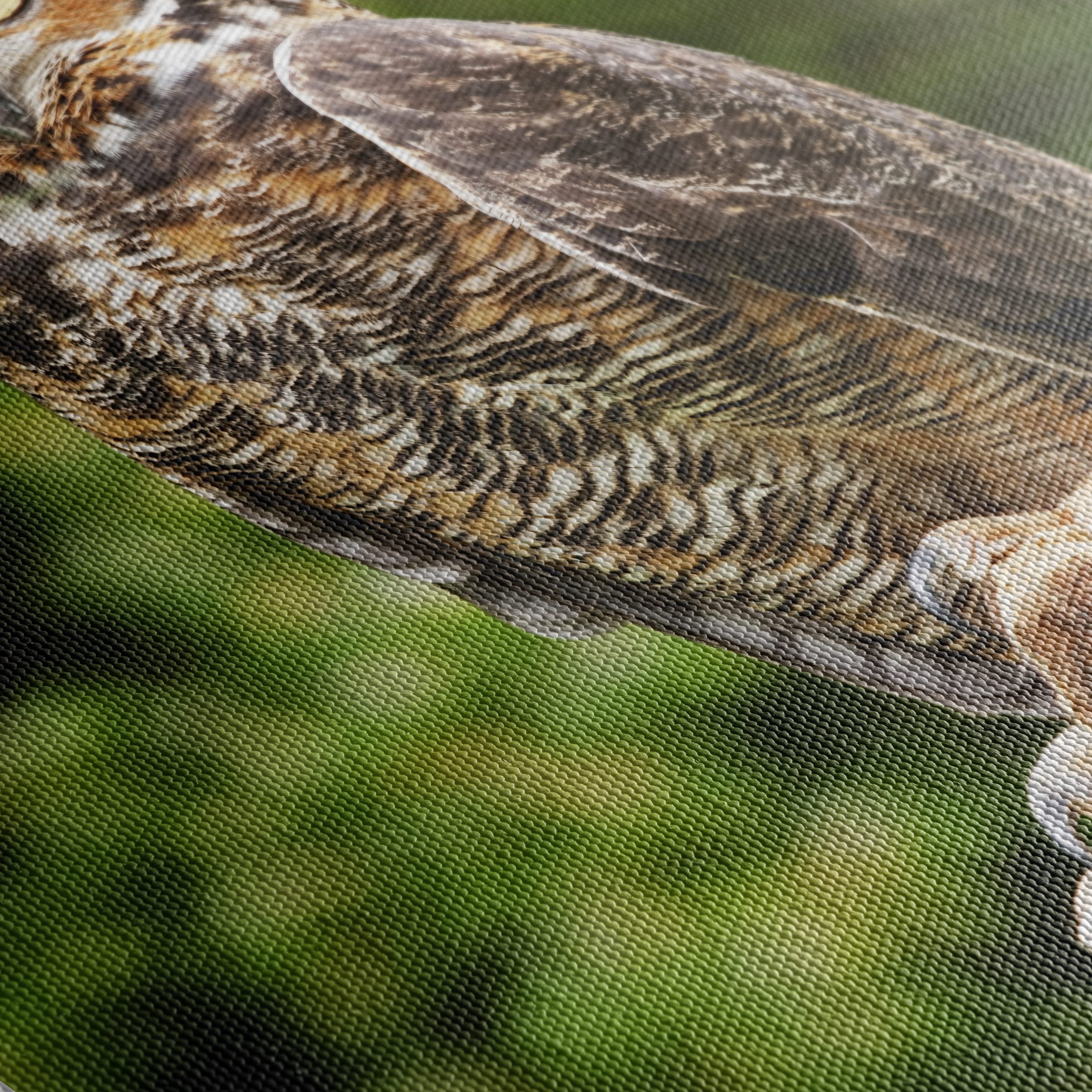 Majestic Owl on Tree Stump - Image 5