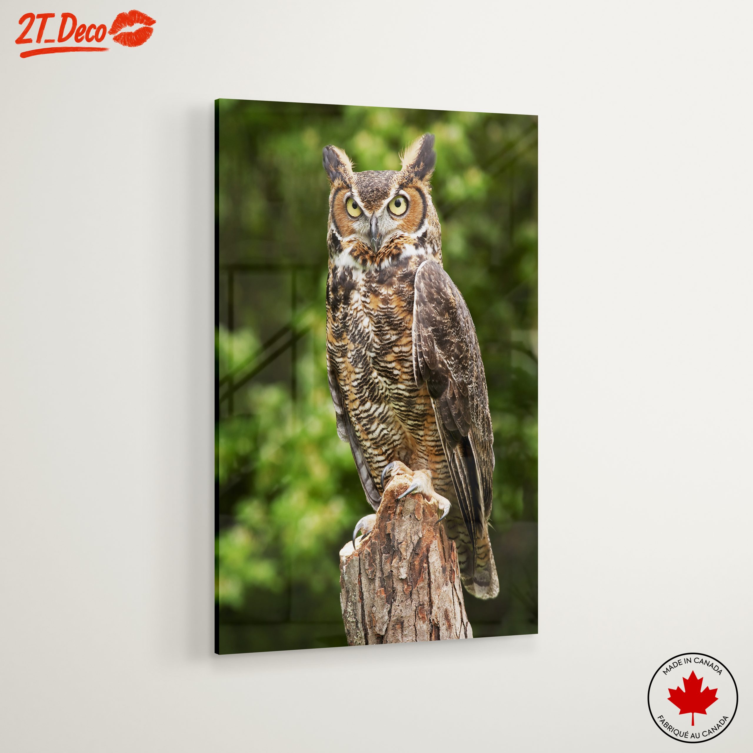 Majestic Owl on Tree Stump - Image 6