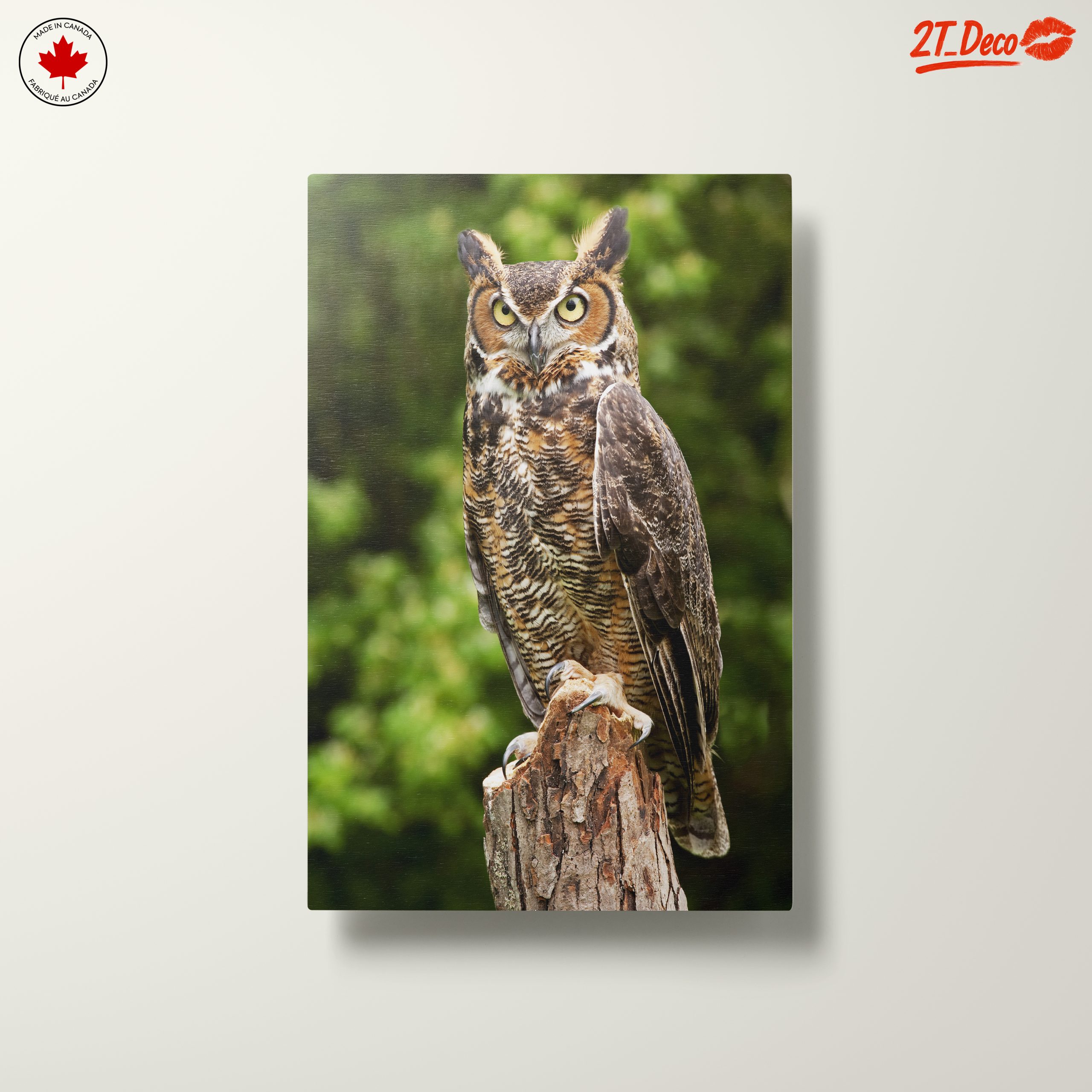 Majestic Owl on Tree Stump - Image 10