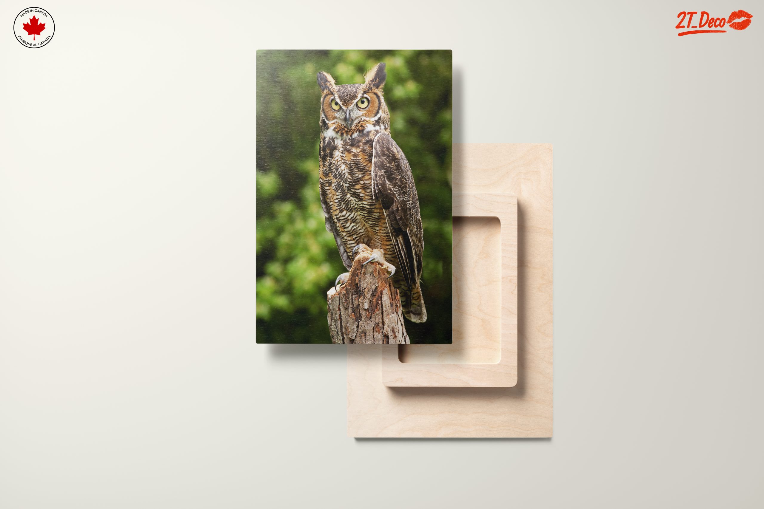 Majestic Owl on Tree Stump - Image 11