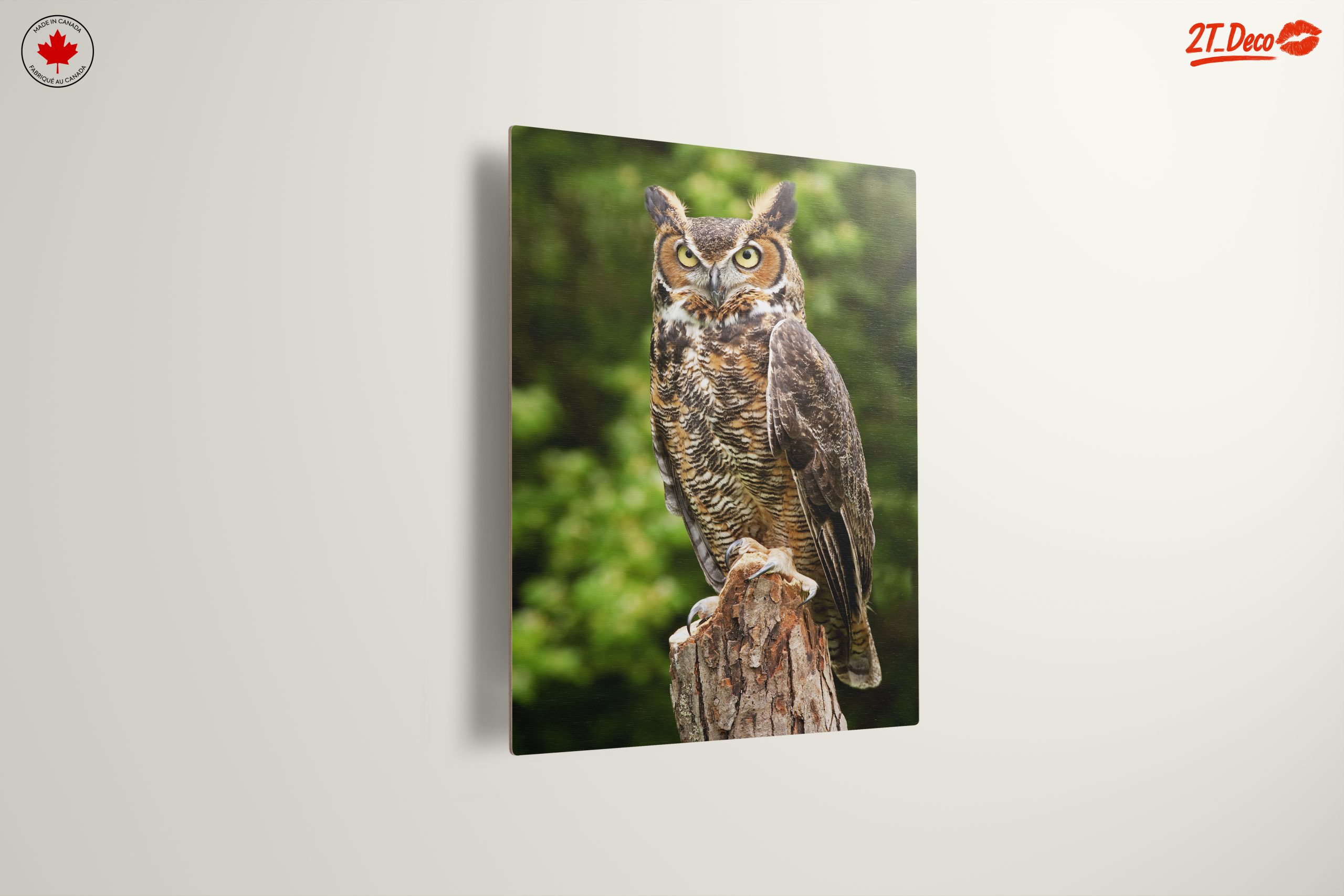 Majestic Owl on Tree Stump - Image 13