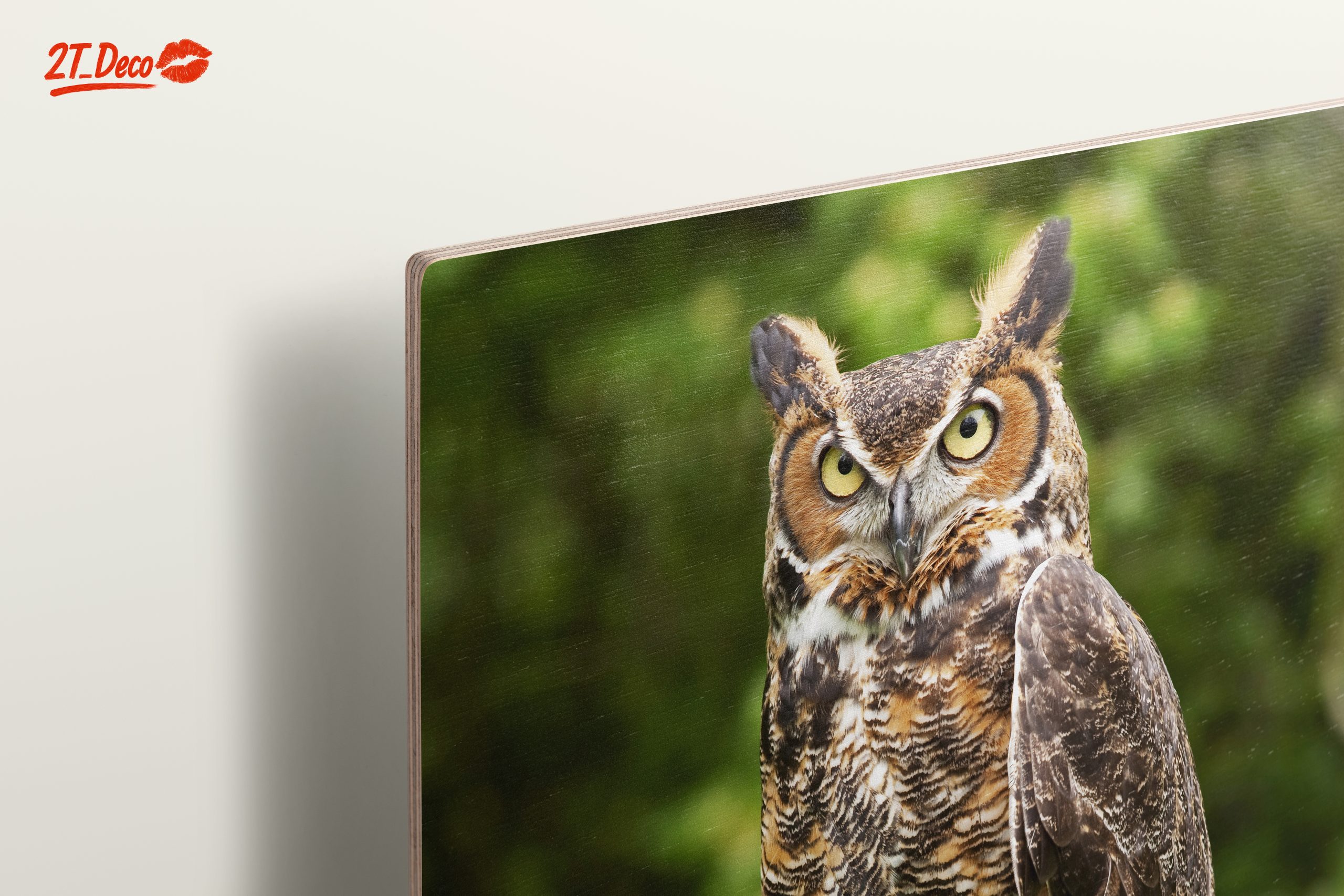 Majestic Owl on Tree Stump - Image 15