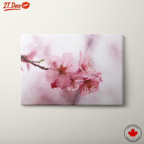 Delicate Pink Blossoms on a Branch