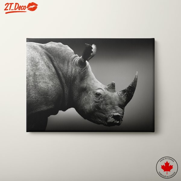 Majestic Rhinoceros Portrait 2