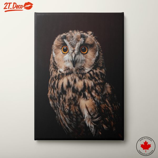 Majestic Owl Portrait on Dark Background