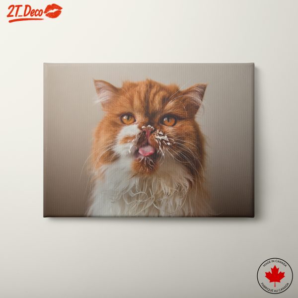 Playful Persian Cat Portrait