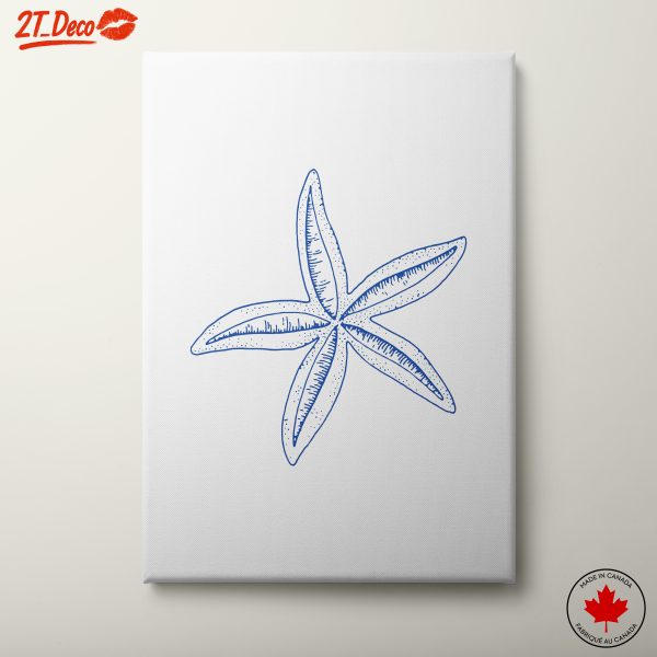 Starfish Illustration Inspired By Nature