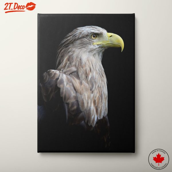 Detailed Eagle Portrait Against Dark Background
