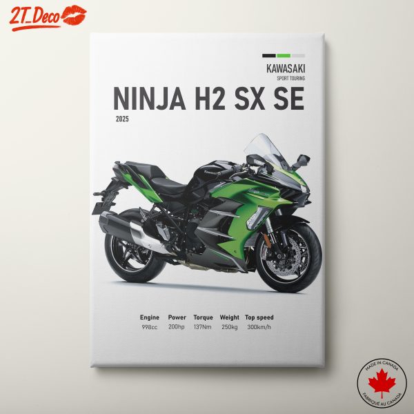 Kawasaki Ninja H2 SX SE Motorcycle Art
