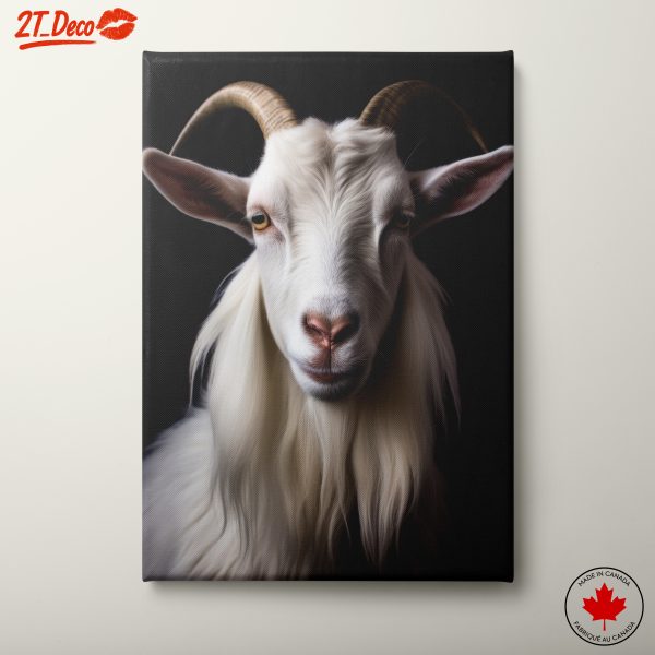 Majestic White Goat Portrait 2