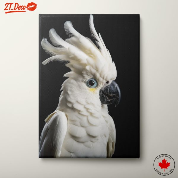 Stunning White Cockatoo Portrait