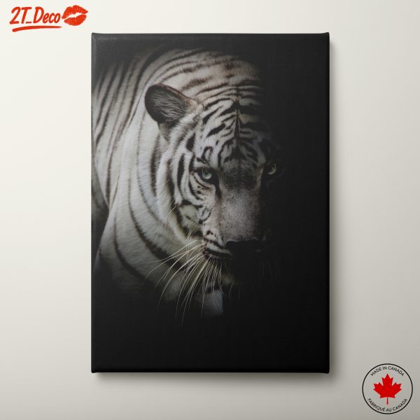 Majestic White Tiger Portrait