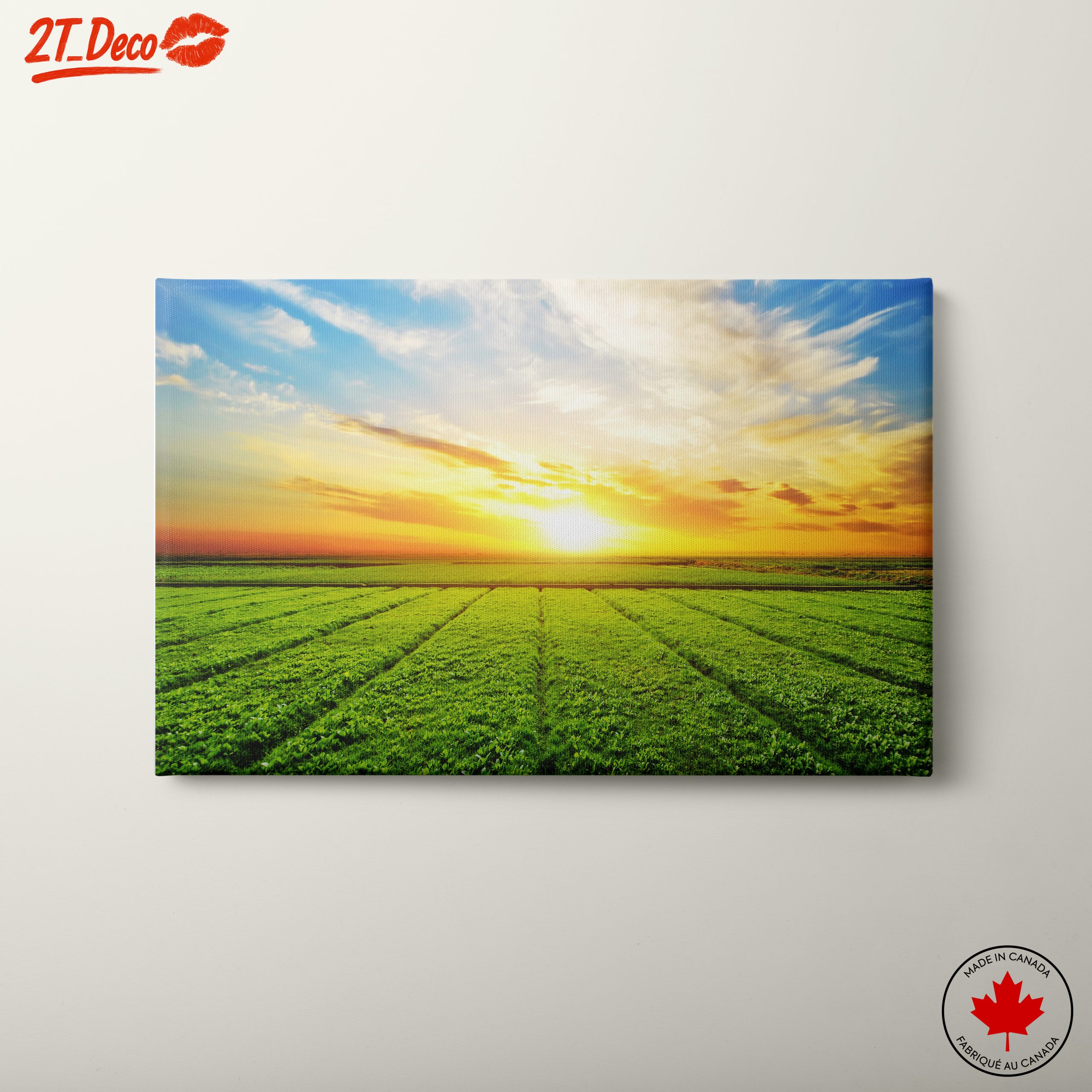 Vibrant Sunrise Over Green Fields