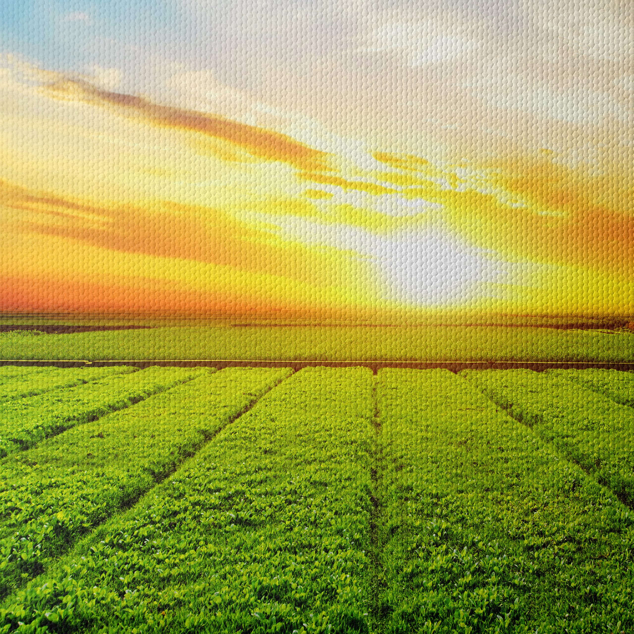 Vibrant Sunrise Over Green Fields - Image 4