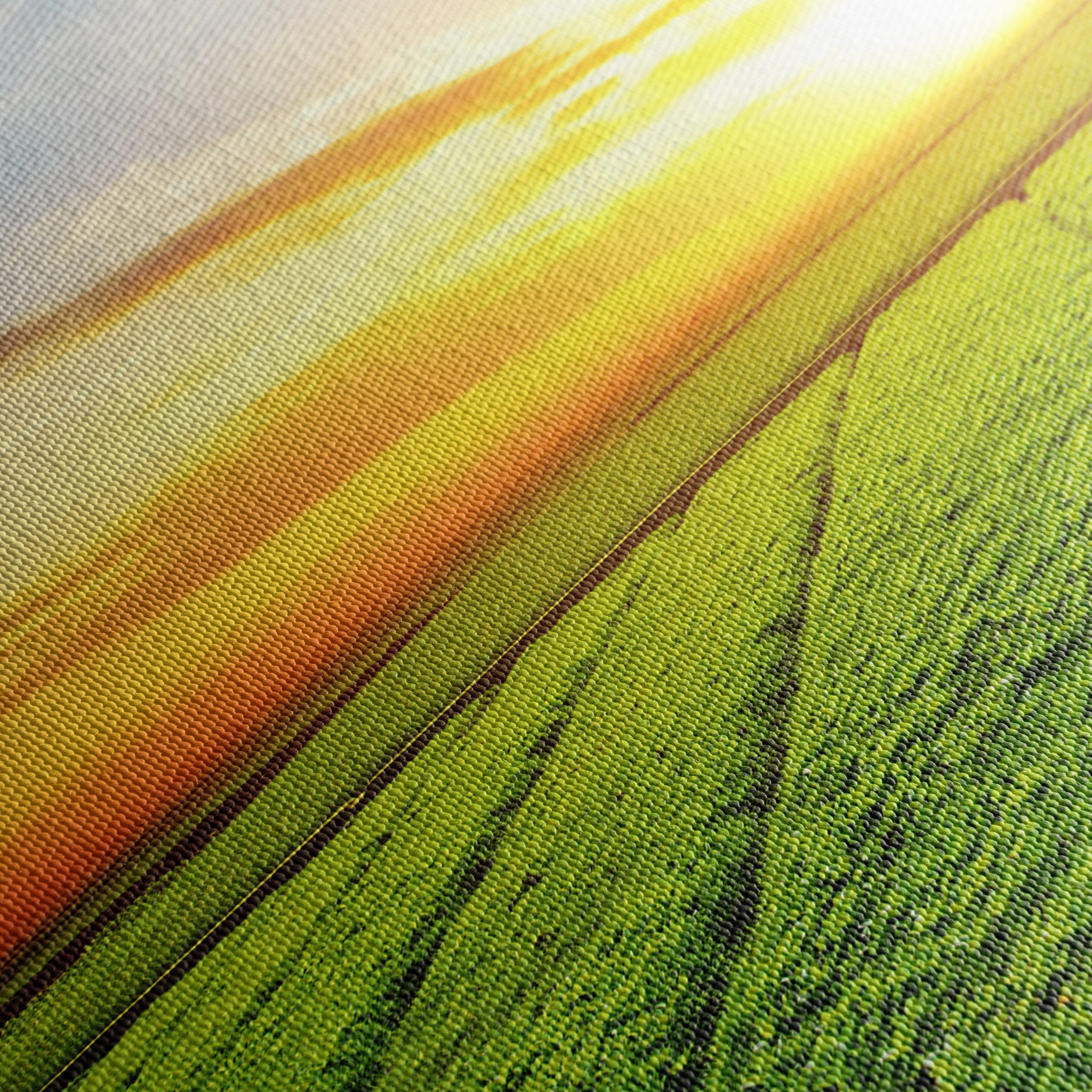 Vibrant Sunrise Over Green Fields - Image 5