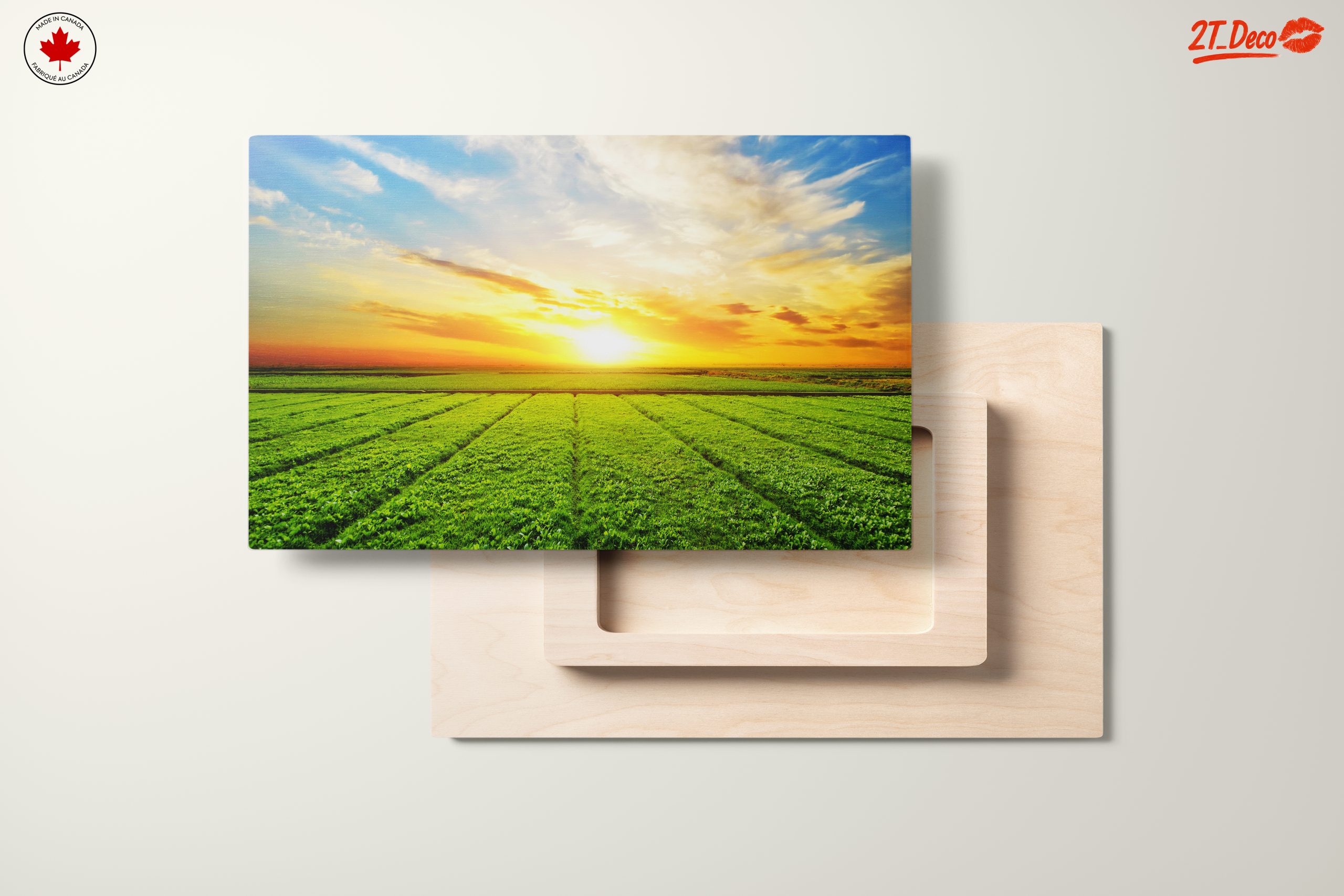 Vibrant Sunrise Over Green Fields - Image 11