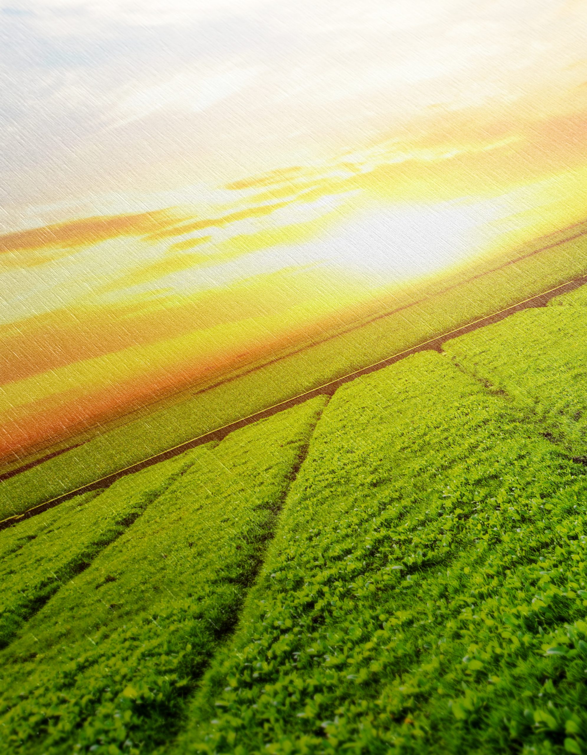 Vibrant Sunrise Over Green Fields - Image 12