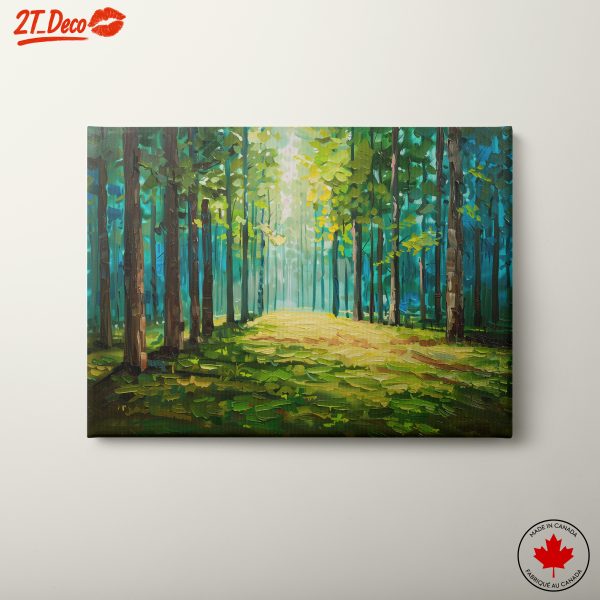 Lush Forest Path with Sunlight