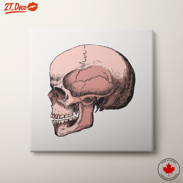 Intricate Anatomical Skull Art