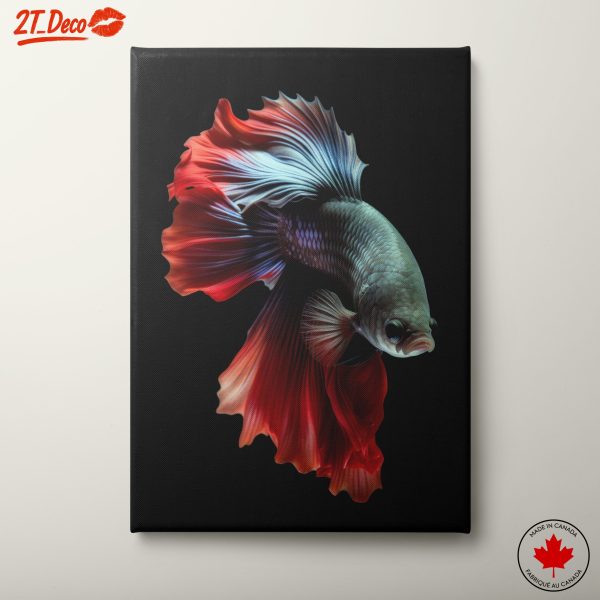 Vibrant Betta Fish Wall Art