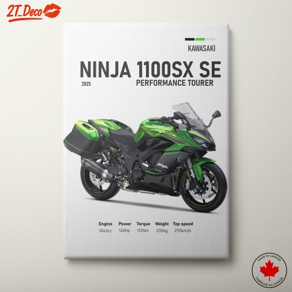 Kawasaki Ninja 1100SX SE Motorcycle Art 2