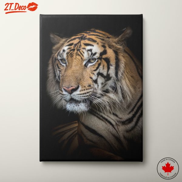 Stunning Close-Up of a Tiger