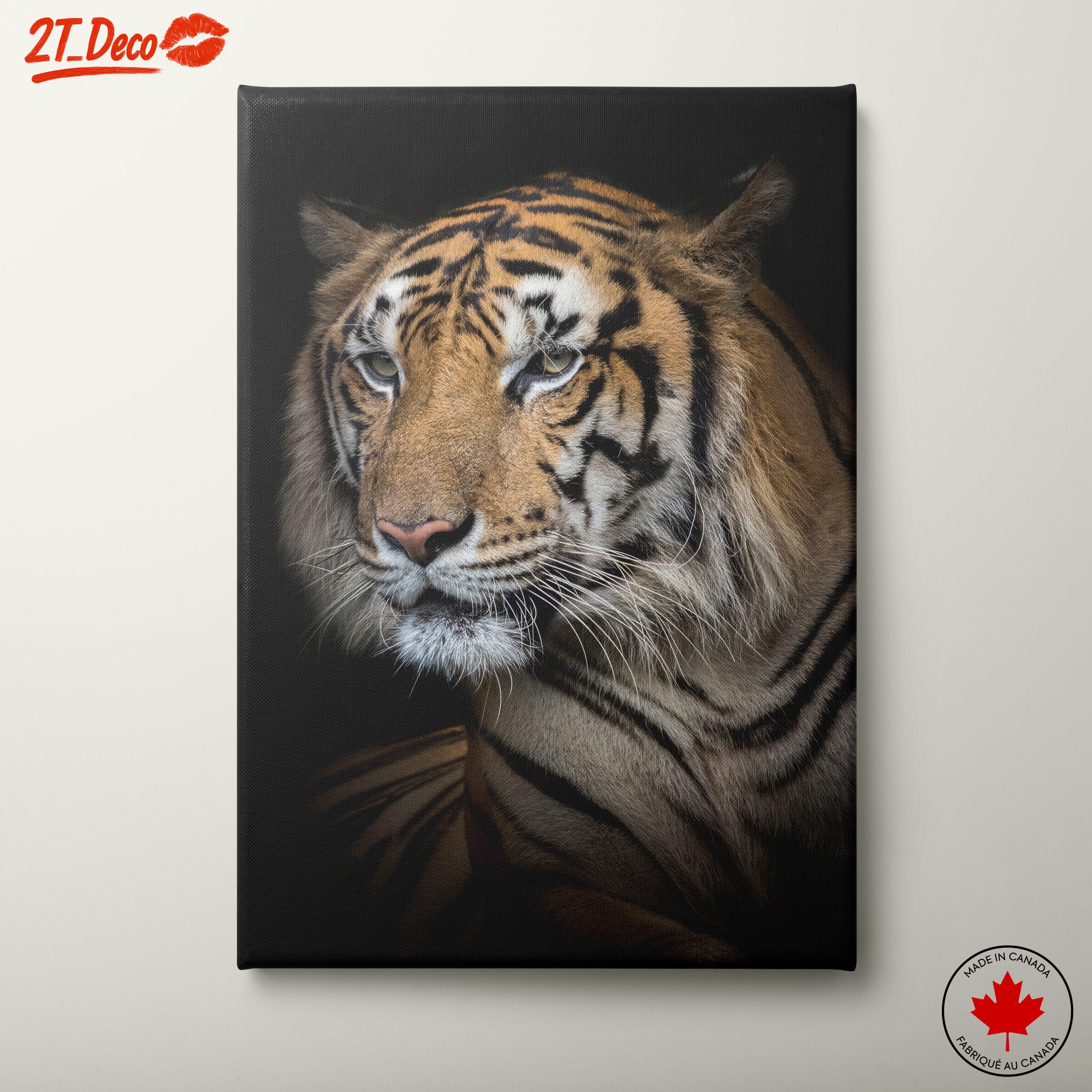 Stunning Close-Up of a Tiger