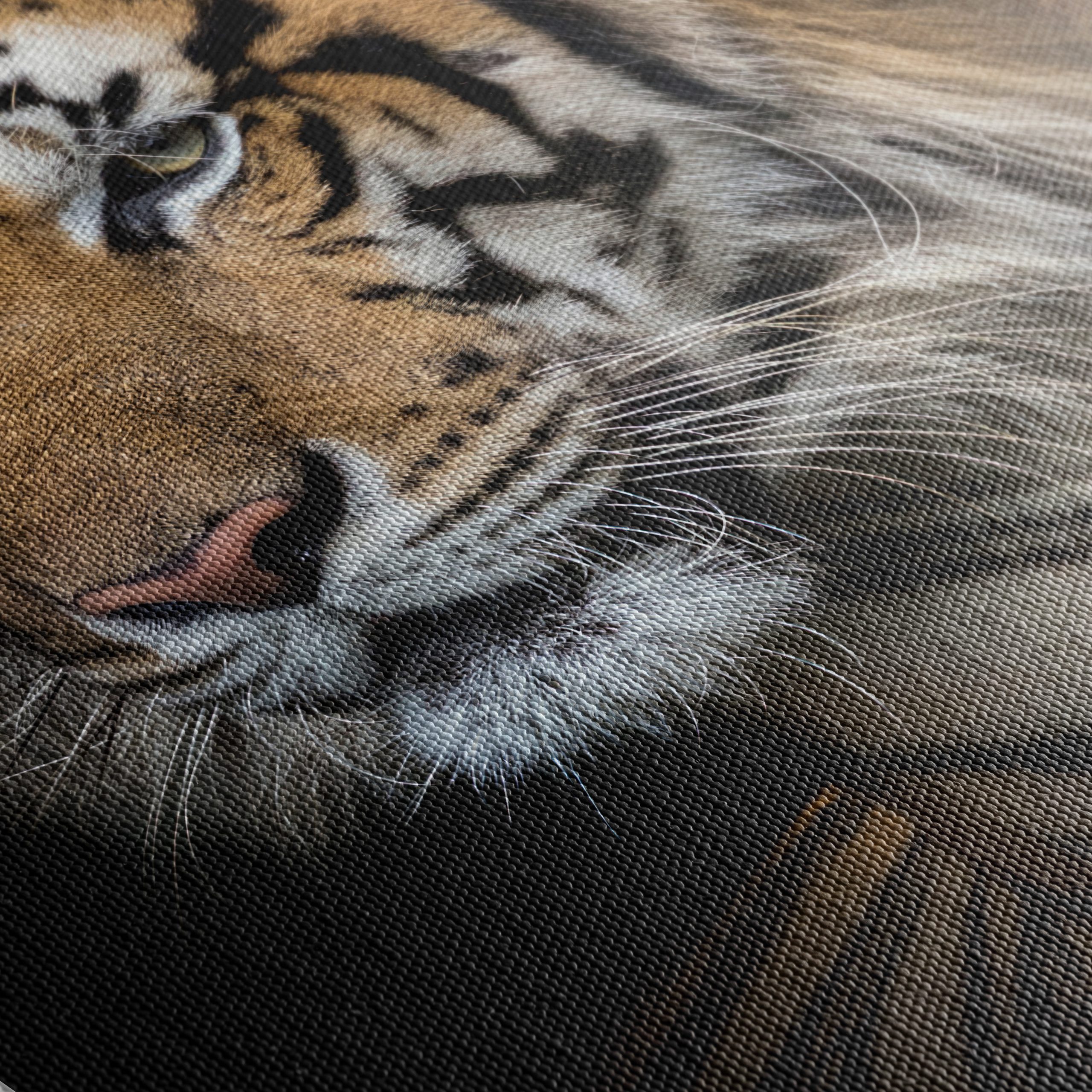 Stunning Close-Up of a Tiger - Image 5
