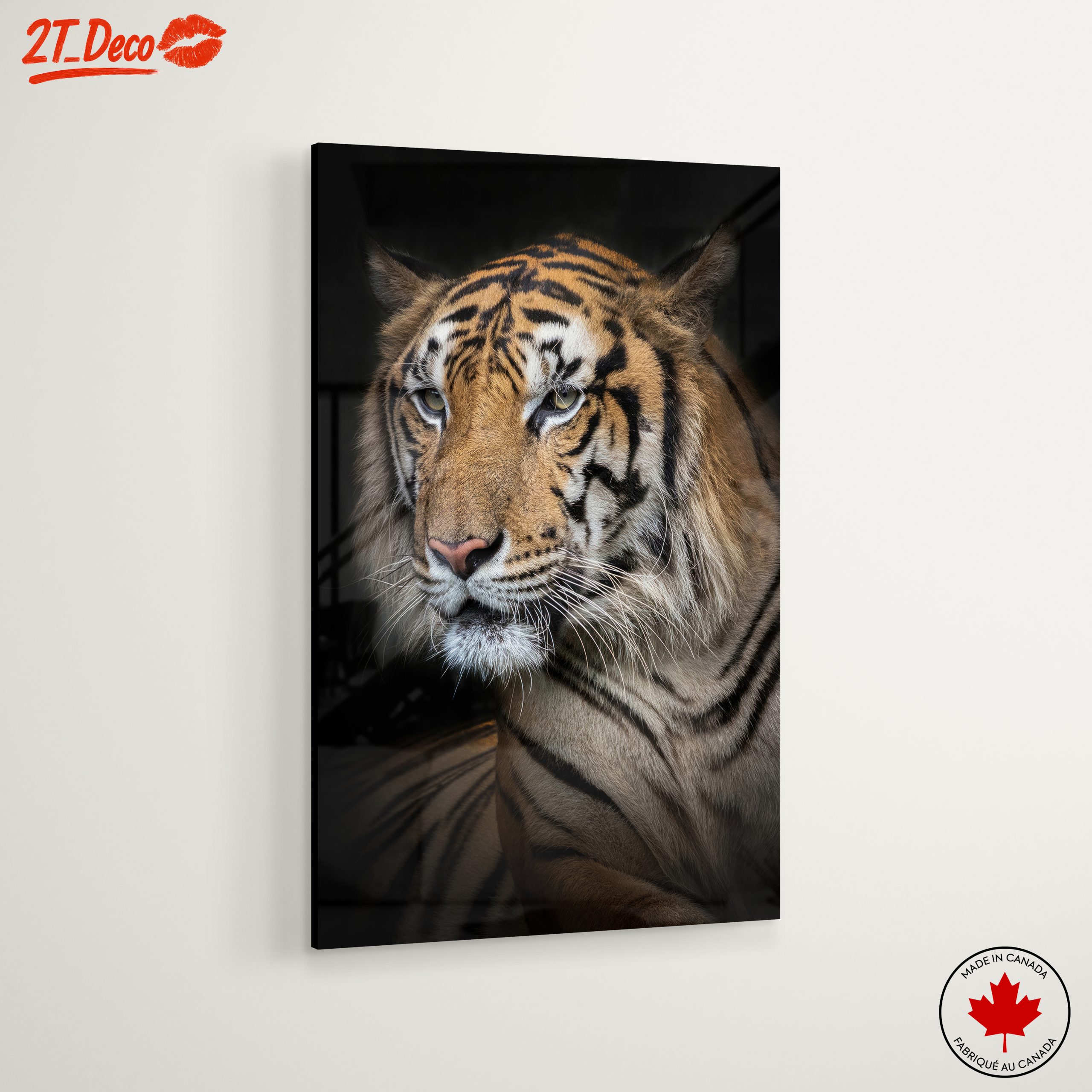 Stunning Close-Up of a Tiger - Image 6