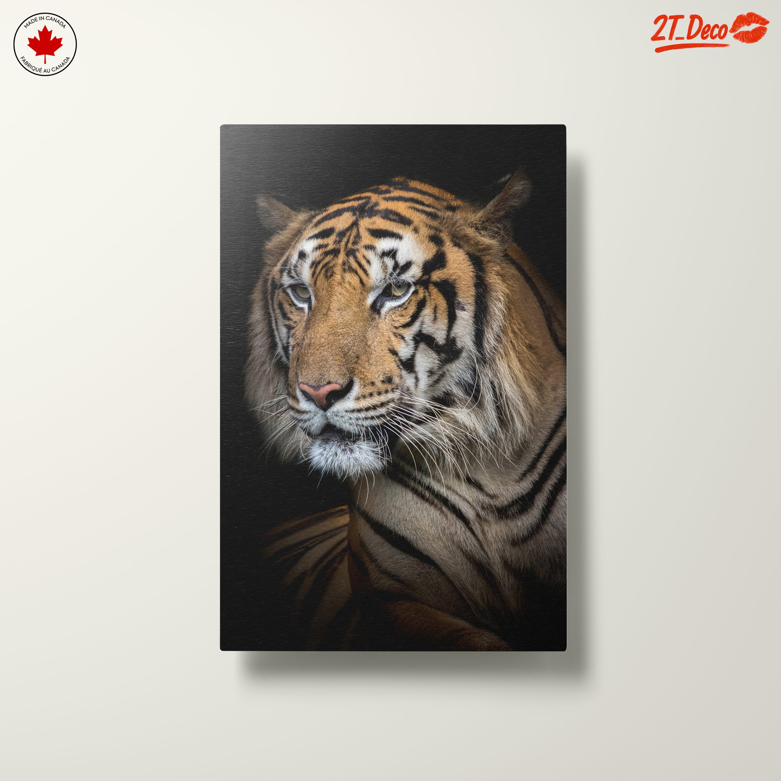 Stunning Close-Up of a Tiger - Image 10
