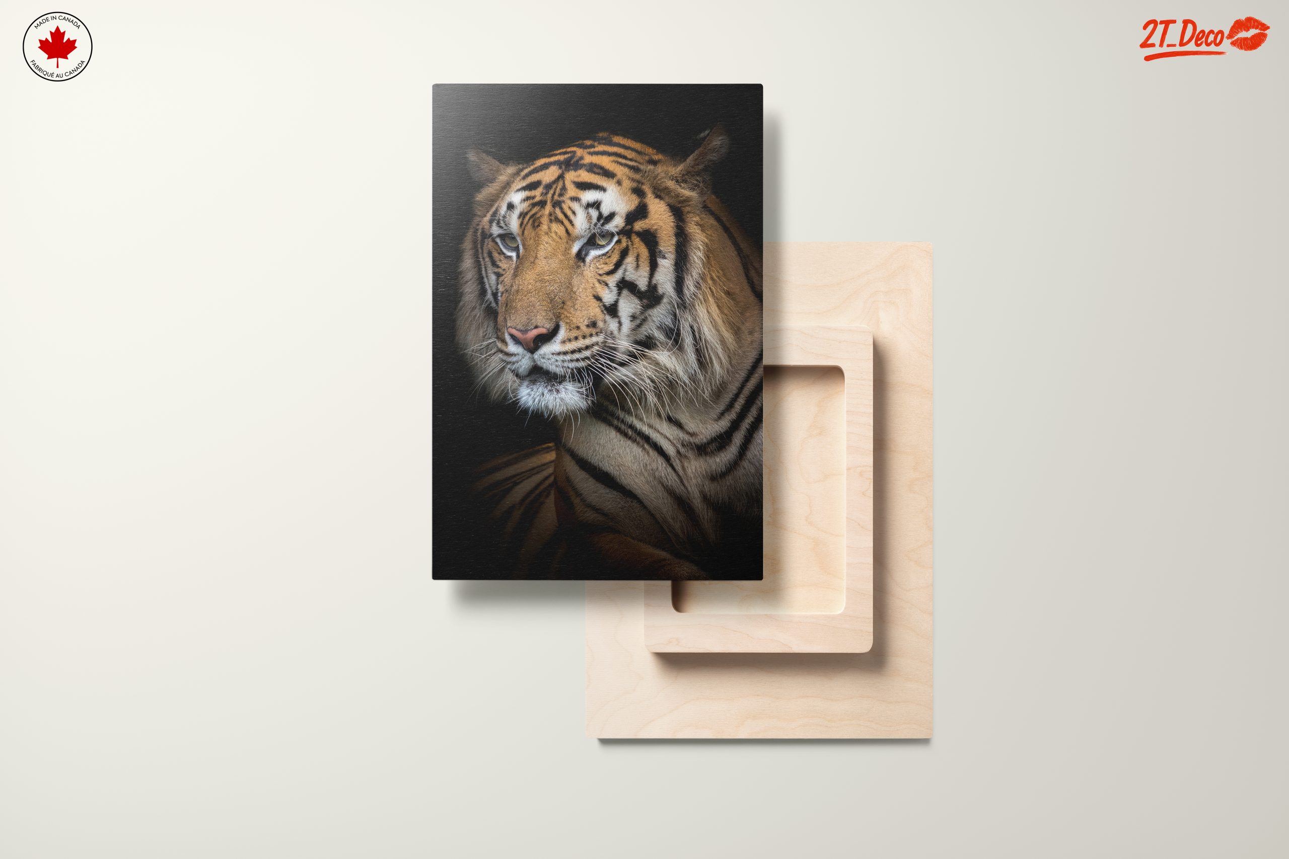 Stunning Close-Up of a Tiger - Image 11