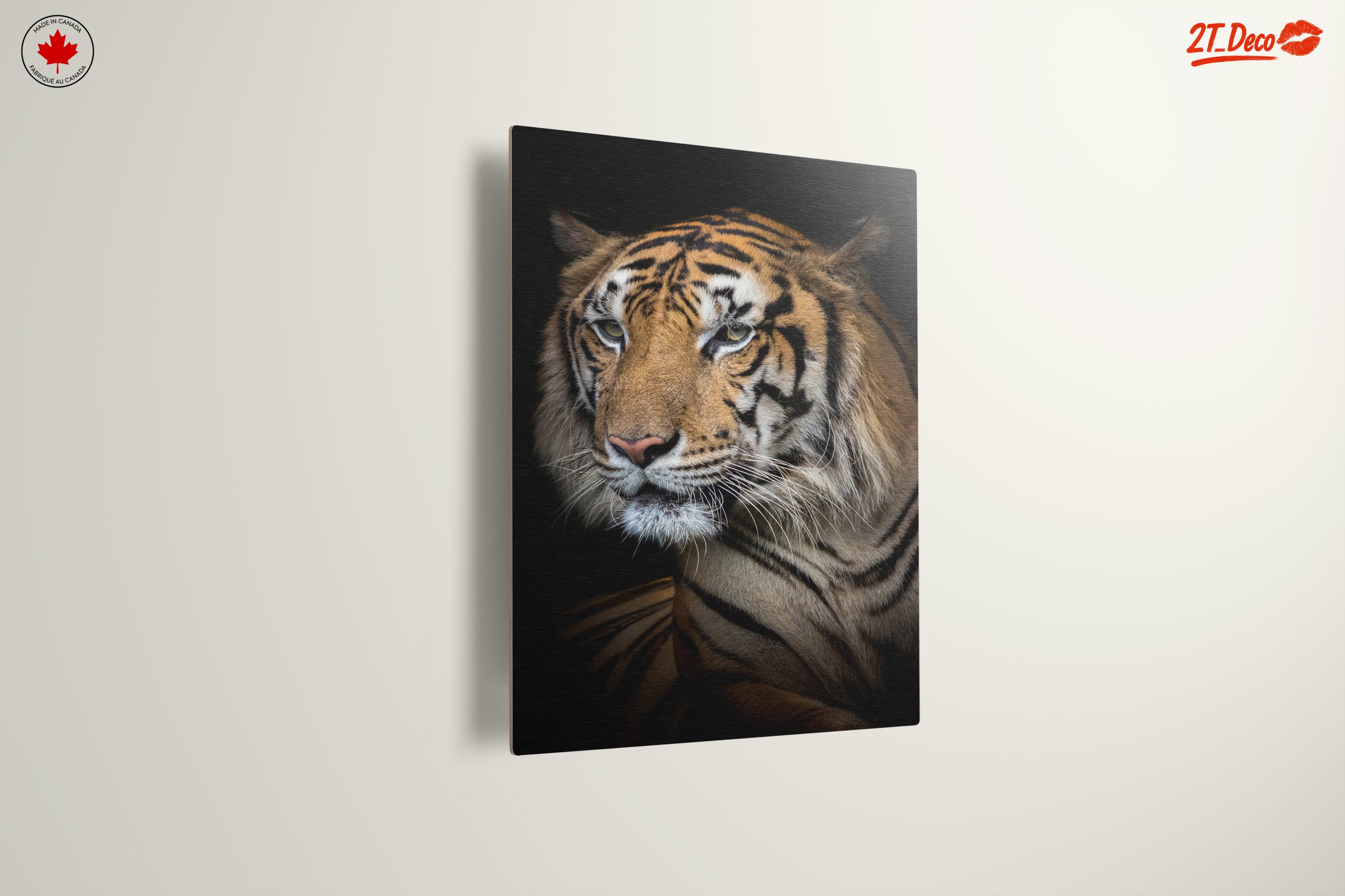 Stunning Close-Up of a Tiger - Image 13