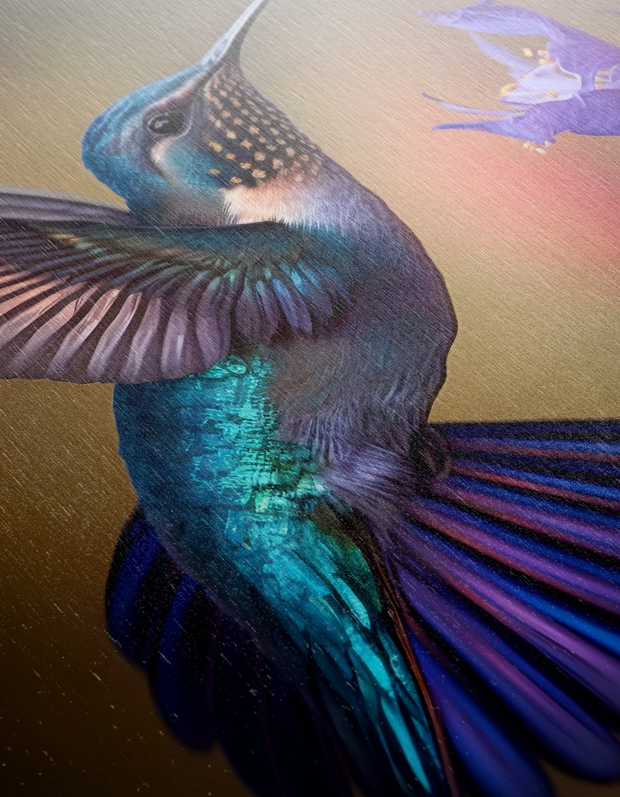 Colorful Hummingbird Feeding on Purple Flowers - Image 12