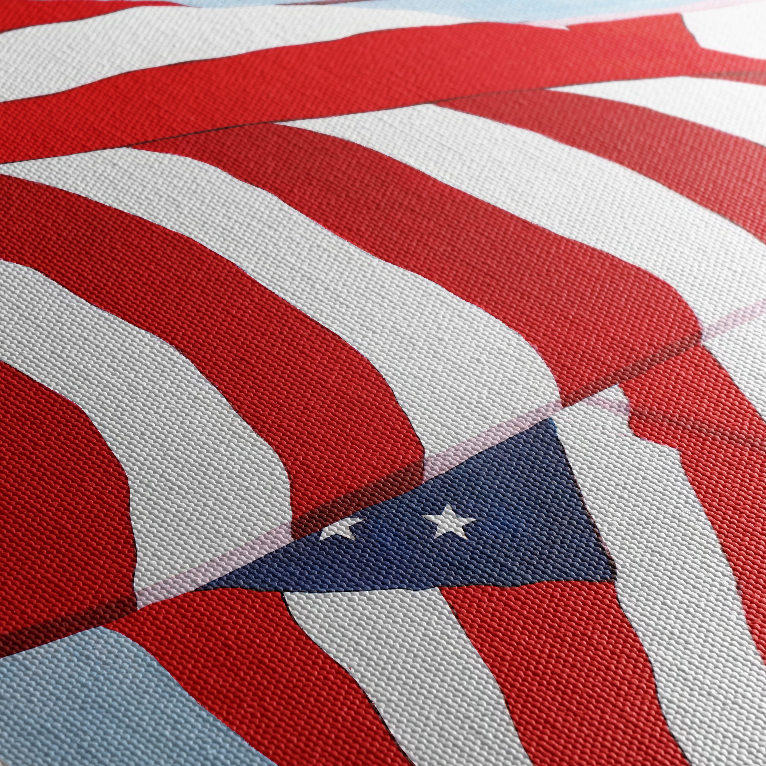 The New Yorker Magazine Cover with American Flags - Image 5
