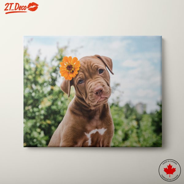 Cute Dog with Flower Headband
