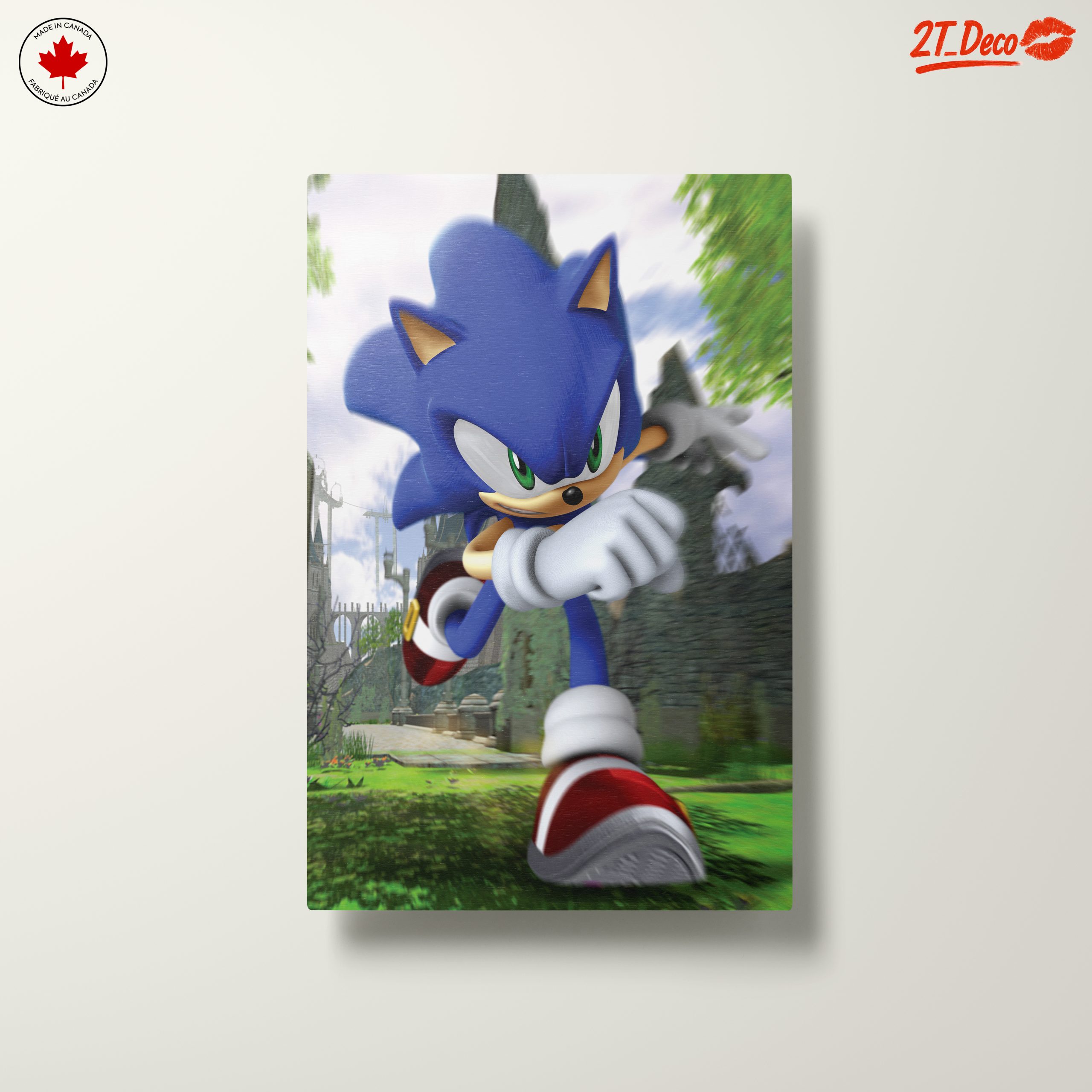 Sonic the Hedgehog Running in a Lush Landscape - Image 10