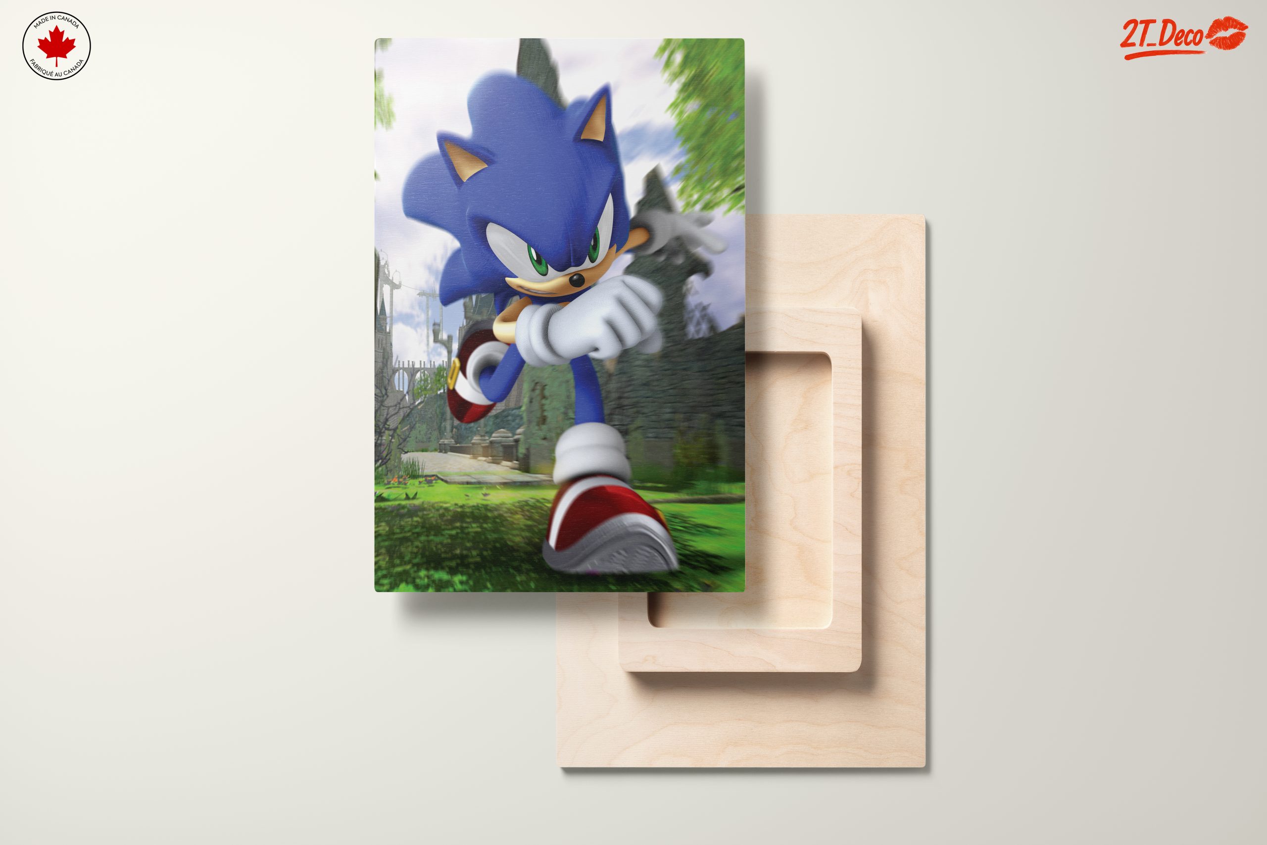 Sonic the Hedgehog Running in a Lush Landscape - Image 11