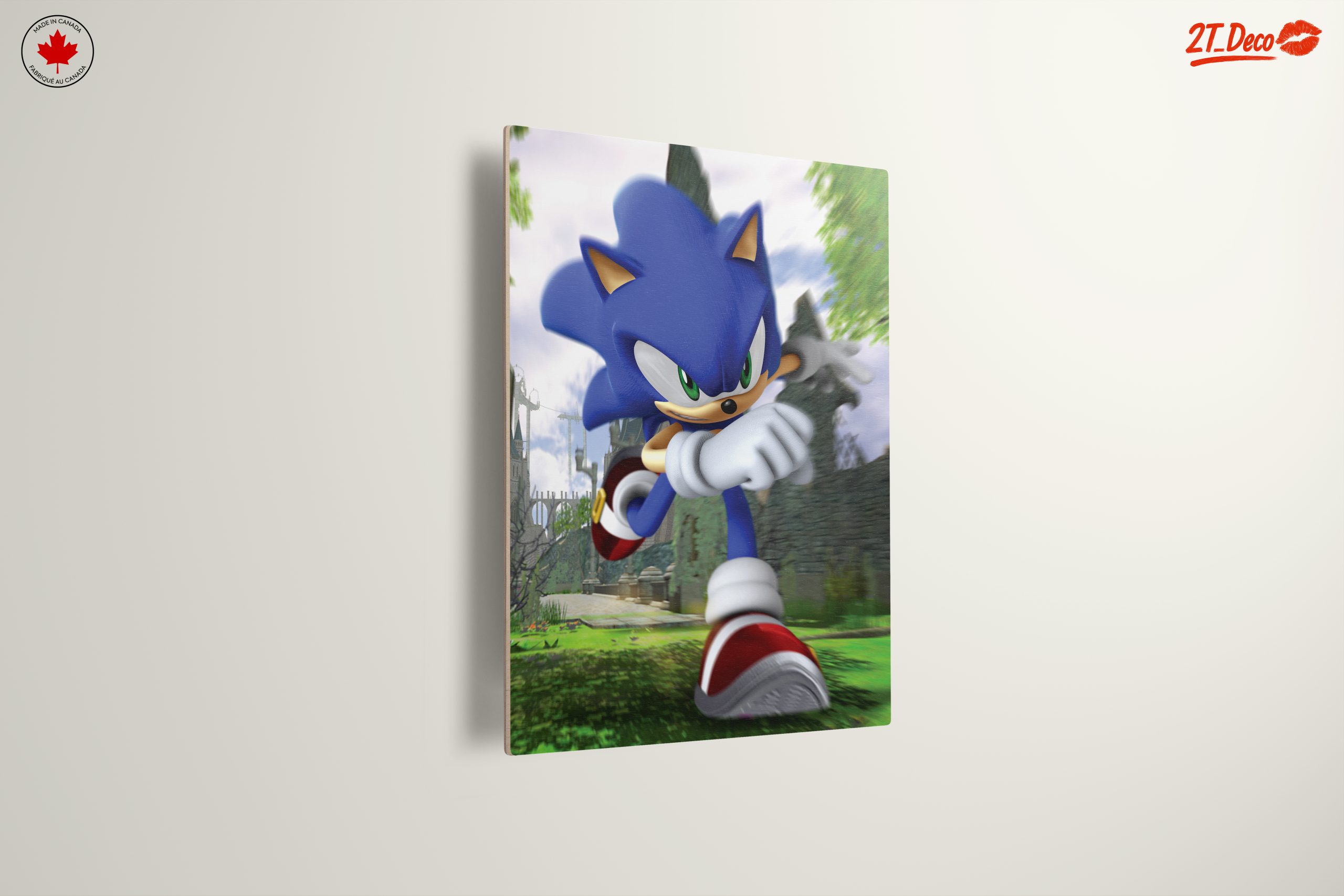 Sonic the Hedgehog Running in a Lush Landscape - Image 13