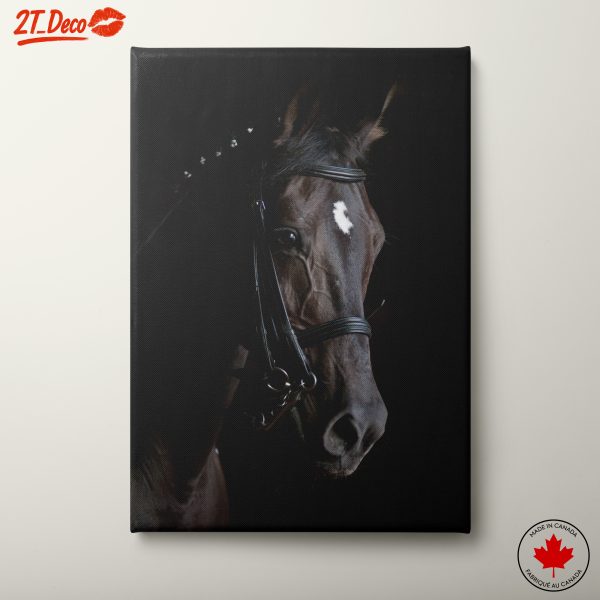Elegant Horse Portrait in Dark Background 2