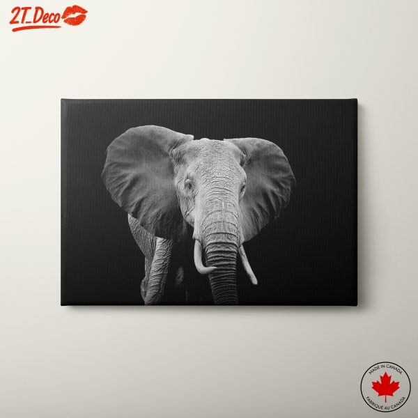 Majestic Black and White Elephant 2