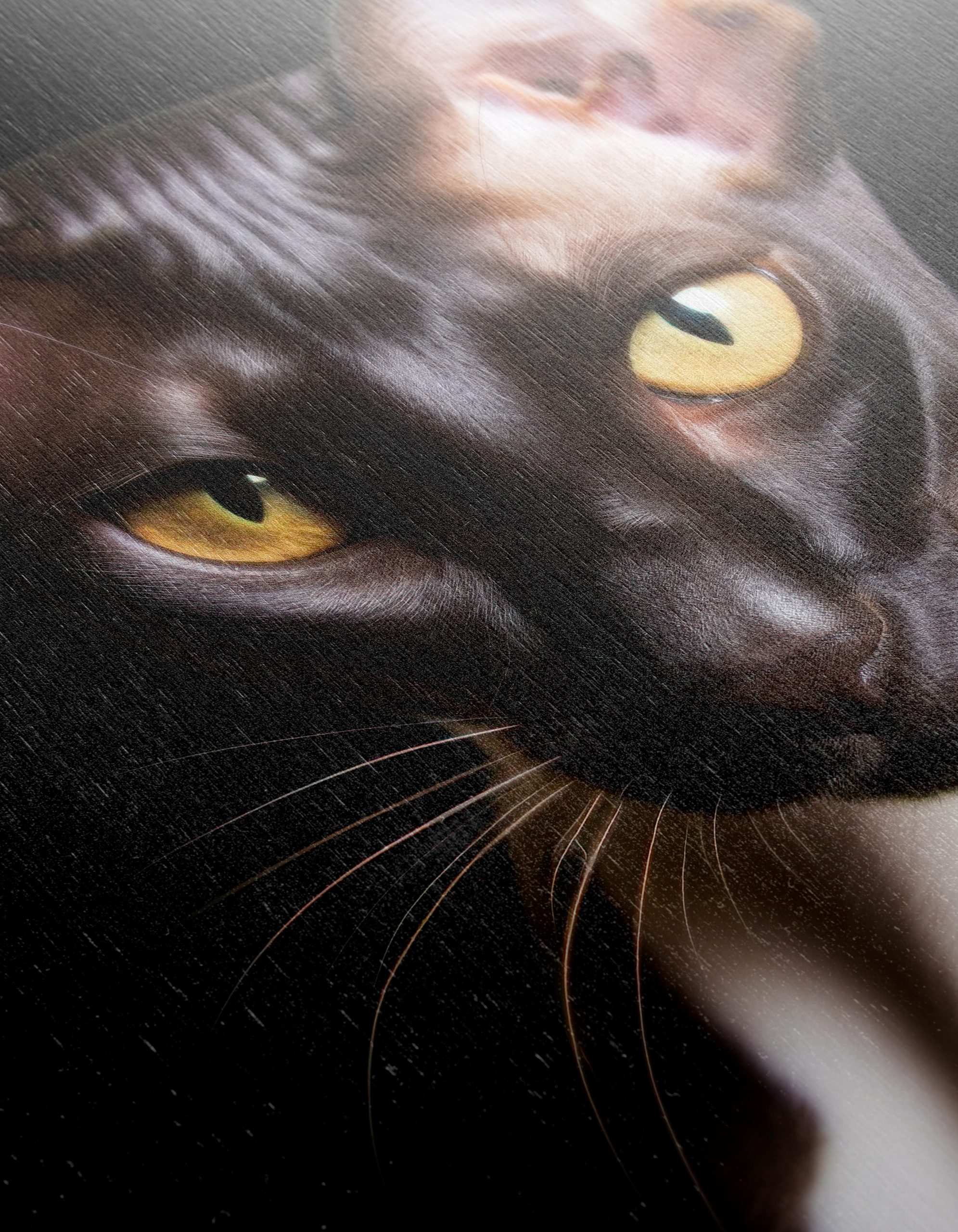 Sleek Black Cat Artwork with Striking Eyes - Image 12