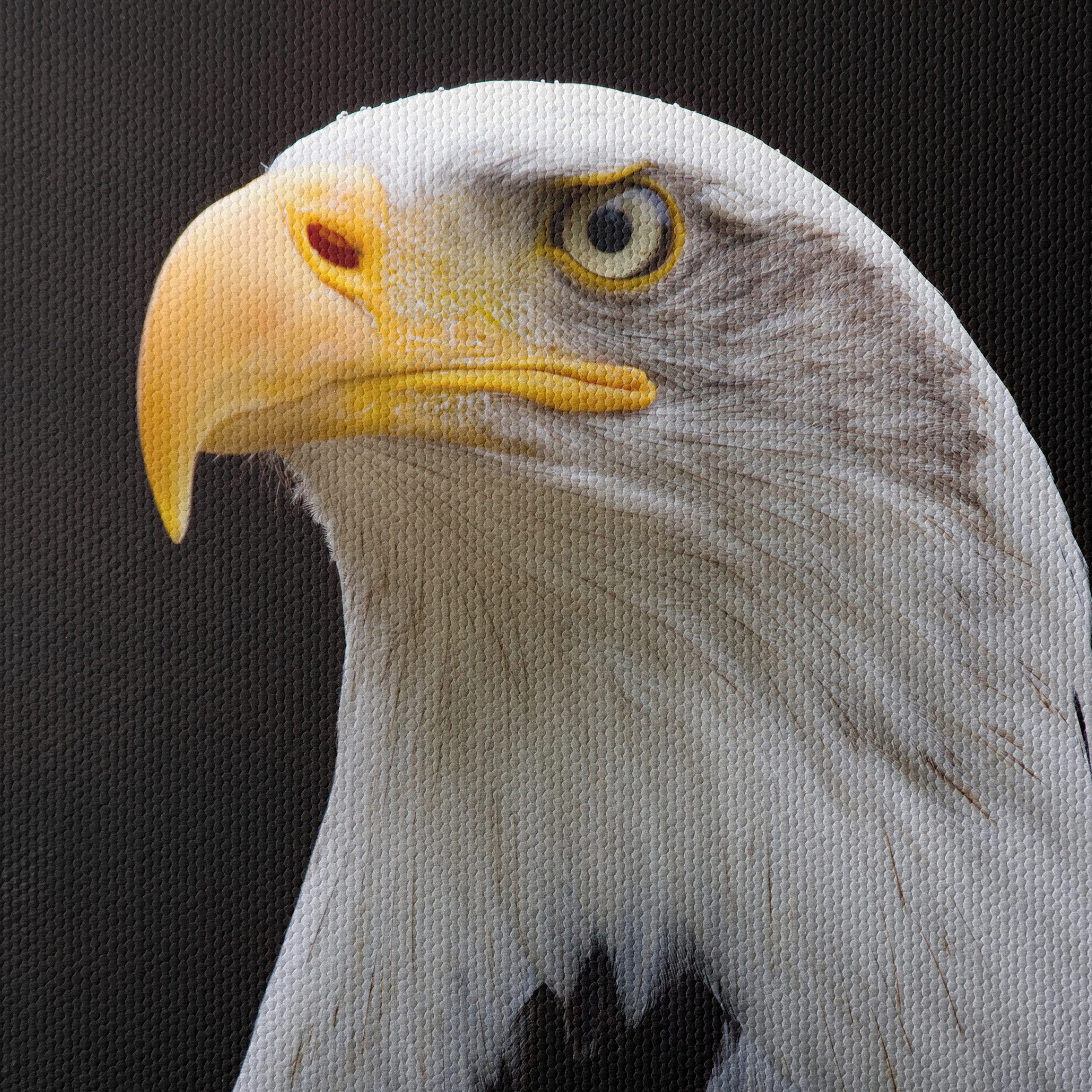 Majestic Eagle Portrait Wall Art 2 - Image 4